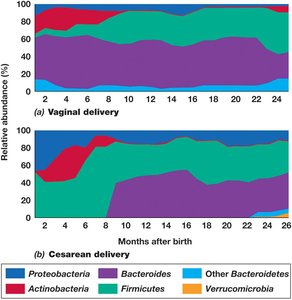 Impact of birth mode on infant gut community