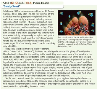 Public health focus: Smelly sweat and skin microbiota