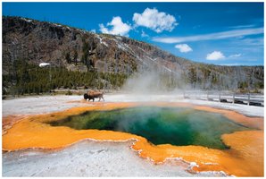 Hot spring environment for thermophiles
