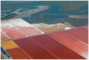 Salt ponds inhabited by halophiles