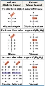 Monosaccharide classification table