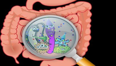 Cartoon of gut microbiota in the intestine