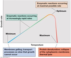 Cardinal temperatures: minimum, optimum, and maximum for microbial growth