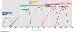 Temperature and growth response in different temperature classes of microorganisms