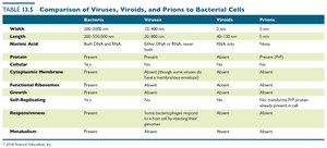 Comparison of viruses, viroids, prions, and bacterial cells