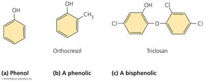 Phenol and phenolic structures