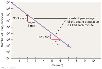 Plot of microbial death rate