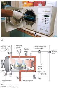 Photograph and diagram of an autoclave
