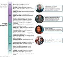 Second and Third Golden Ages of Microbiology