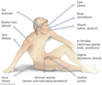 Diagram of human body showing portals of exit for pathogens