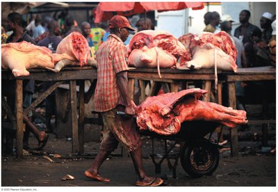 Butcher handling raw meat, illustrating exposure to zoonotic pathogens