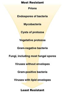 Microbial resistance hierarchy funnel
