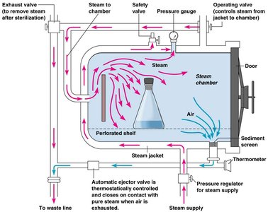 Diagram of an autoclave