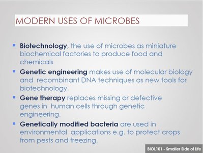 Modern Uses of Microbes slide