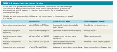 Table of scientific names and their meanings