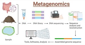 Metagenomics workflow