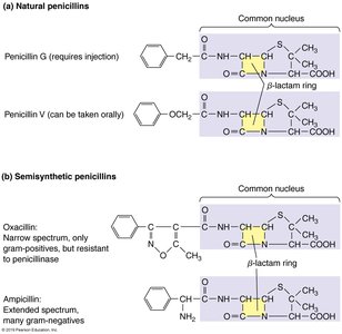 Structure of semisynthetic penicillins