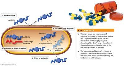 Mechanisms of bacterial resistance to antibiotics