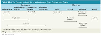 Spectrum of Activity of Antibiotics and Other Antimicrobial Drugs table