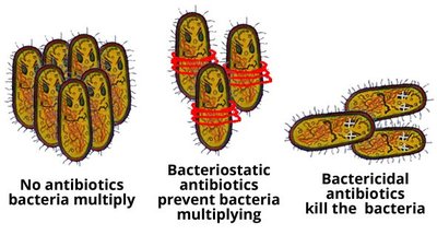 Bacteriostatic vs. Bactericidal antibiotics