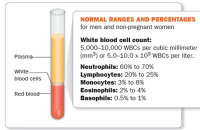Normal ranges and percentages of white blood cells