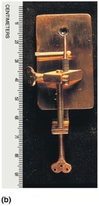 Replica of Leeuwenhoek's microscope