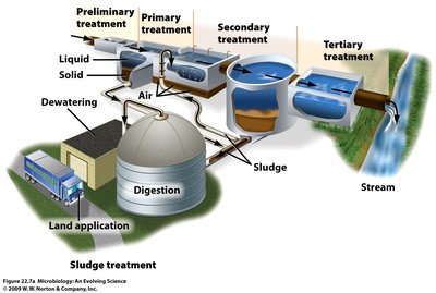 Wastewater treatment plant process (duplicate for clarity)