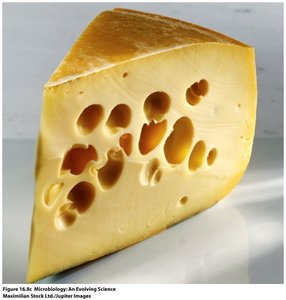 Cheese produced by microbial fermentation