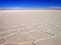 Cartoon about spontaneous generation