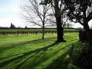 Pasteur's fermentation experiment