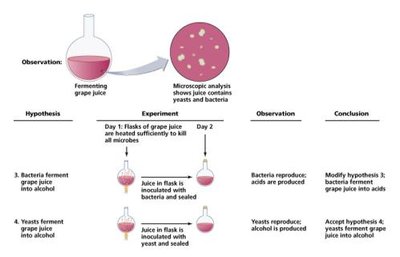 Pasteur's laboratory plaque