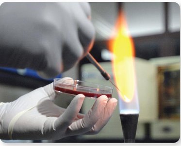 Incineration in laboratory