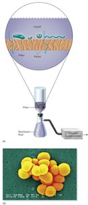 Filtration apparatus