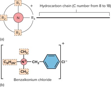 Surfactant molecular structure