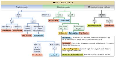 Microbial Control Methods flowchart
