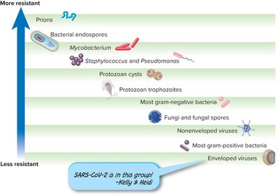 Relative resistance of microbial types