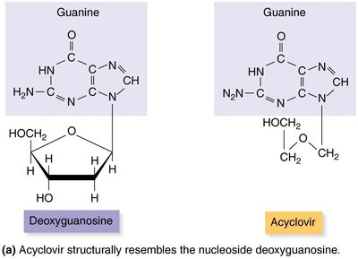 Structure and function of the antiviral drug Acyclovir
