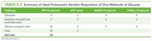 Summary table of ATP yield in aerobic respiration