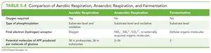 Comparison table of aerobic, anaerobic respiration, and fermentation