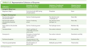 Representative cofactors of enzymes