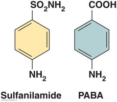 Sulfanilamide and PABA structures