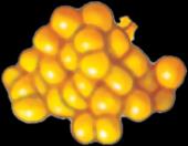 Enzyme-substrate complex molecular model