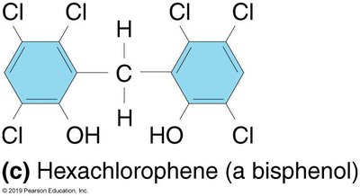 Hexachlorophene structure