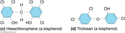 Hexachlorophene and Triclosan structures