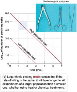 Effect of population load on microbial death curve