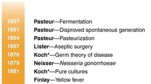 Pasteurization process