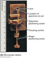 Replica of Leeuwenhoek's microscope