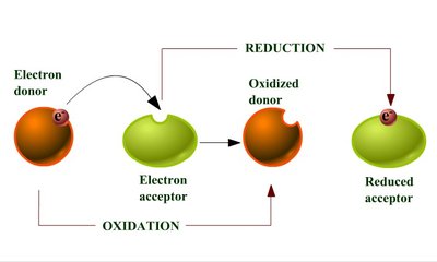 Alternative diagram of oxidation and reduction reactions