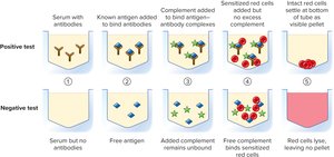 Complement fixation test steps