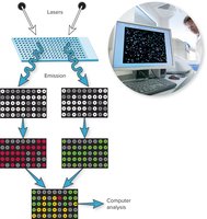 Microarray analysis for pathogen detection